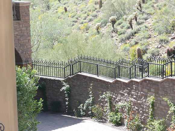 Fence (25)